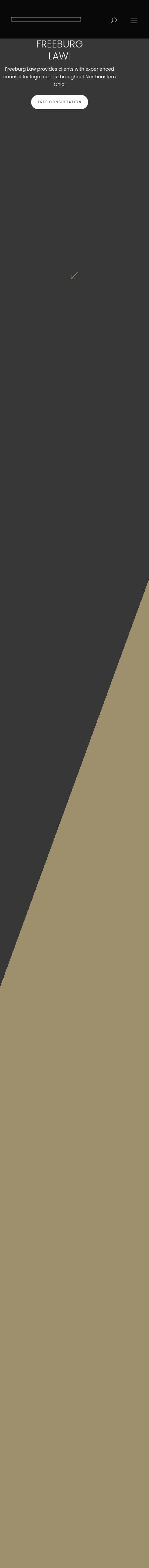 Freeburg Law Firm, LPA - Mayfield Village OH Lawyers