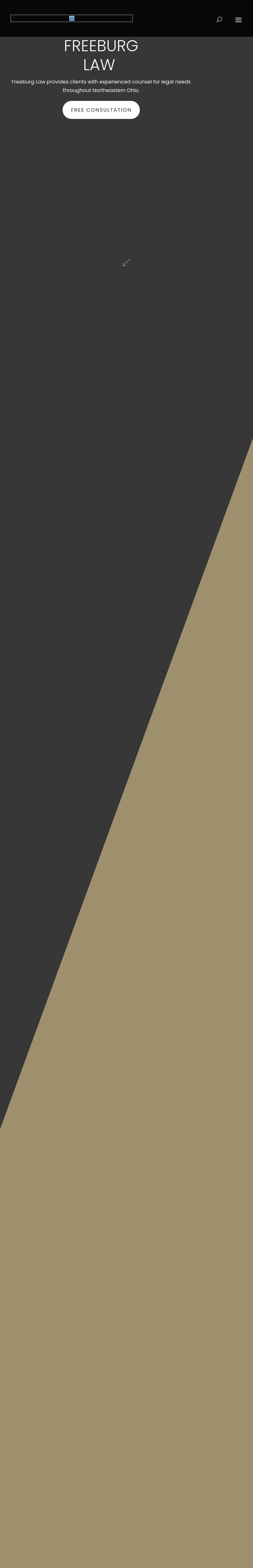 Freeburg Law Firm, LPA - Mayfield Village OH Lawyers